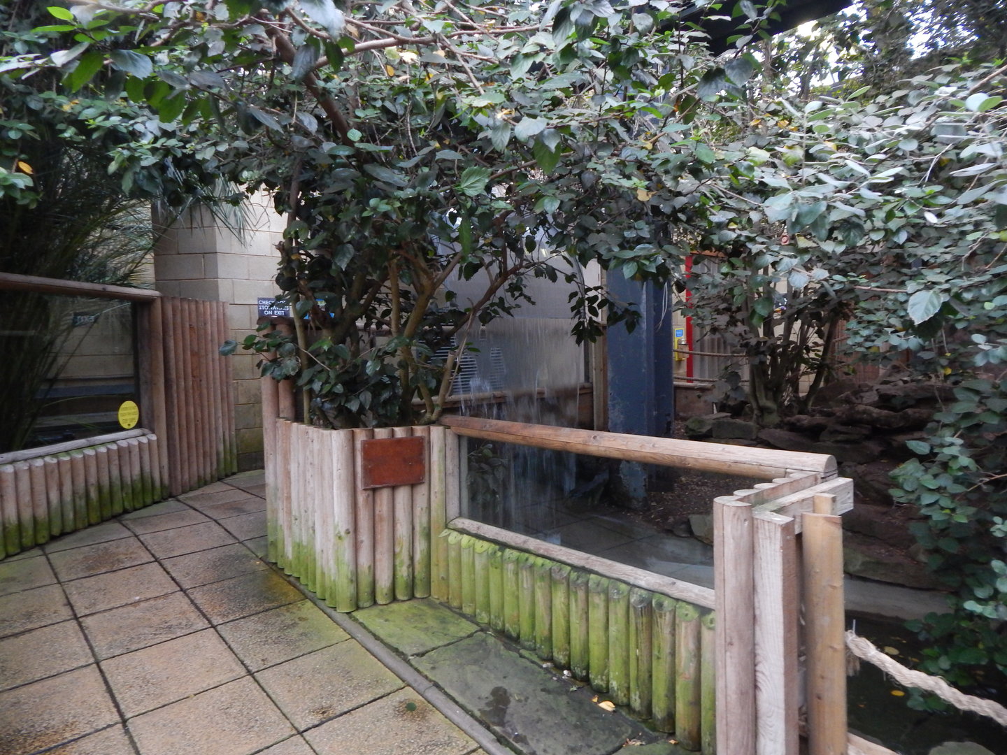 Lorikeet Lookout 241122