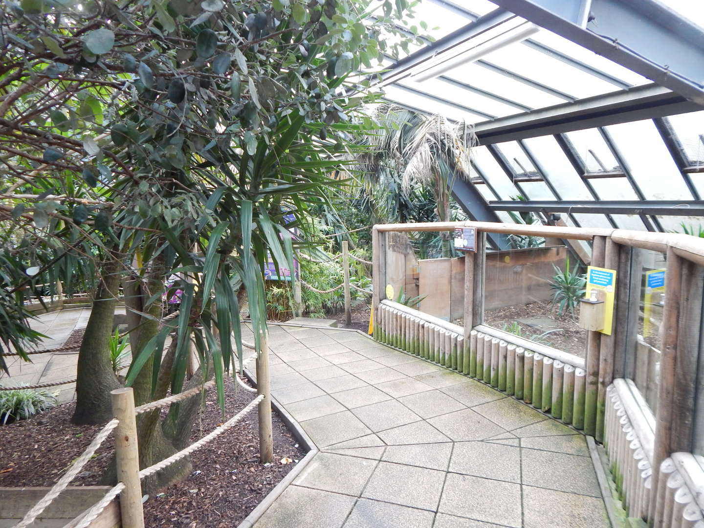 Lorikeet Lookout 241122