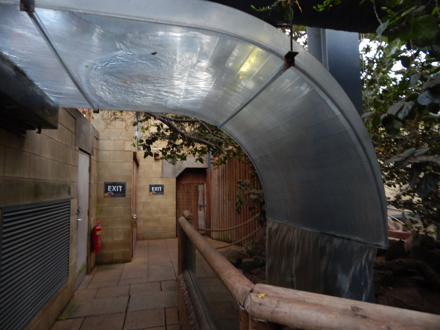 Lorikeet Lookout 241122