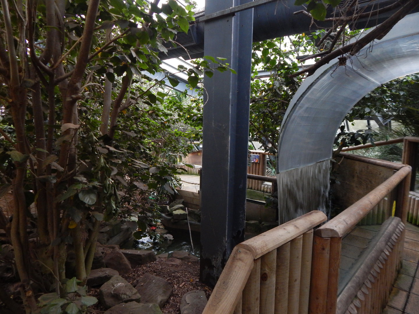 Lorikeet Lookout 241122