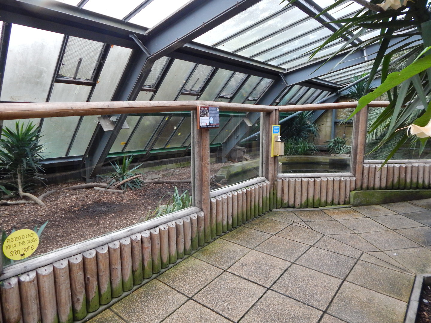 Lorikeet Lookout - Meller's duck exhibit 241122