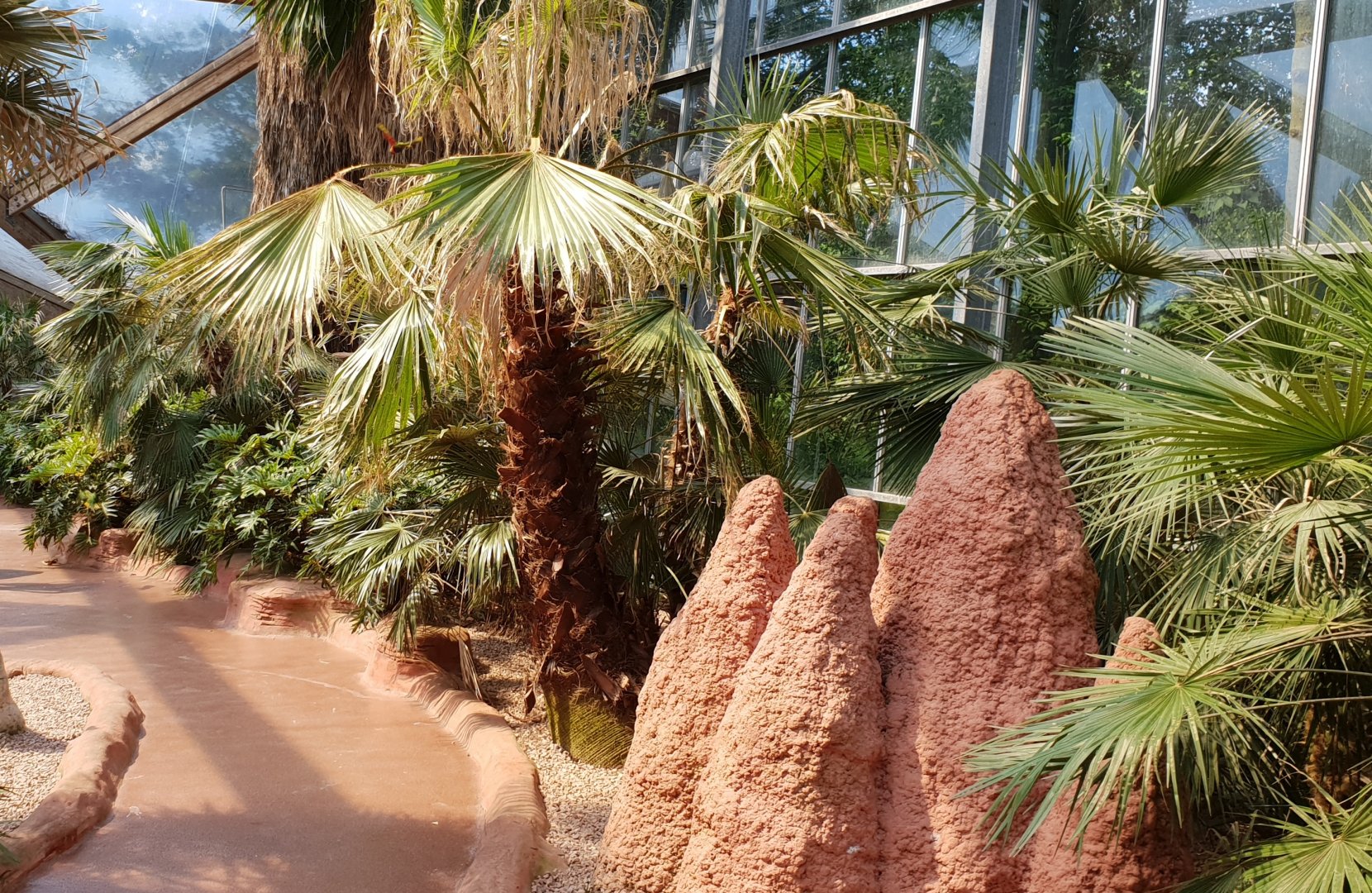 Lorikeet walk-through