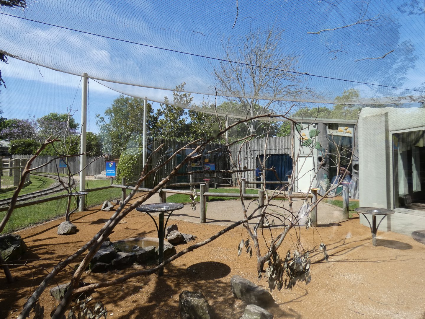 Lorikeet walk-through