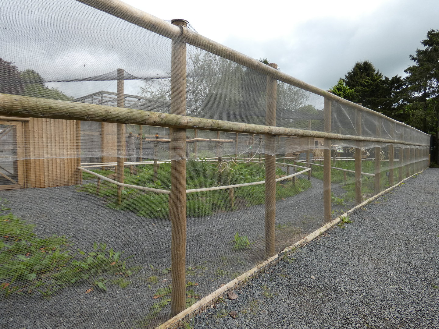 Lorikeet walk-through
