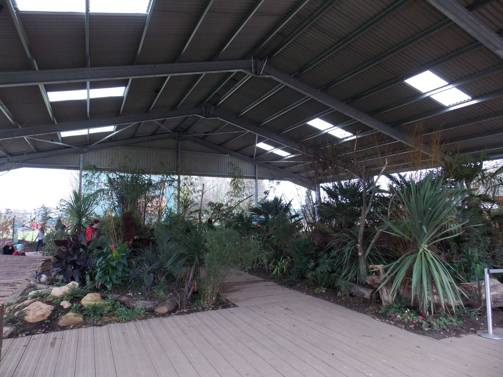 Lorikeet walkthrough