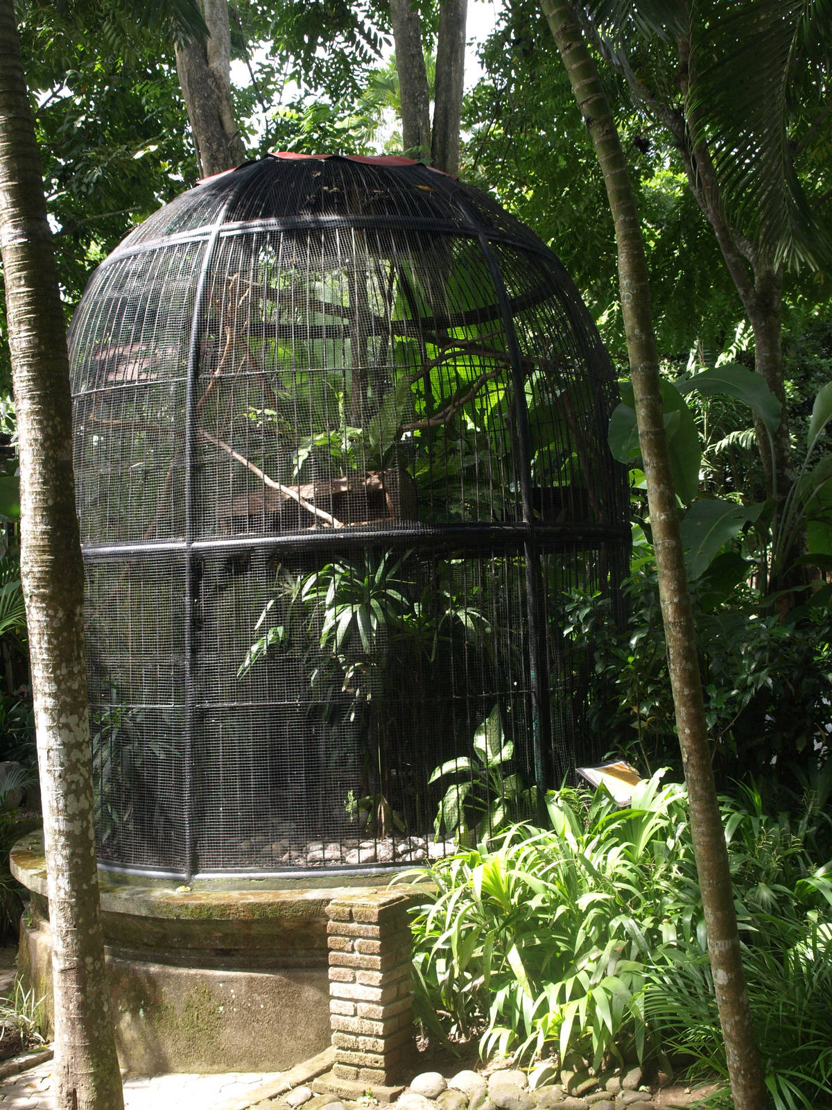 Loris enclosure