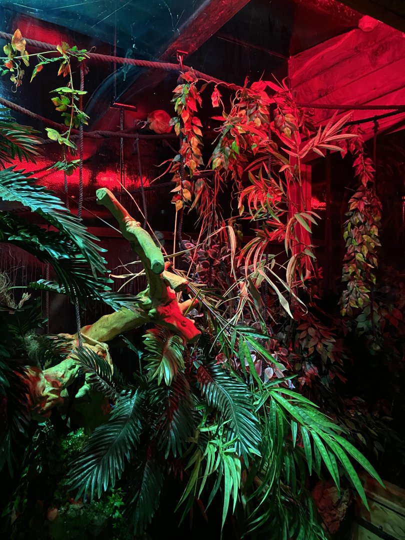 Loris exhibit 150220