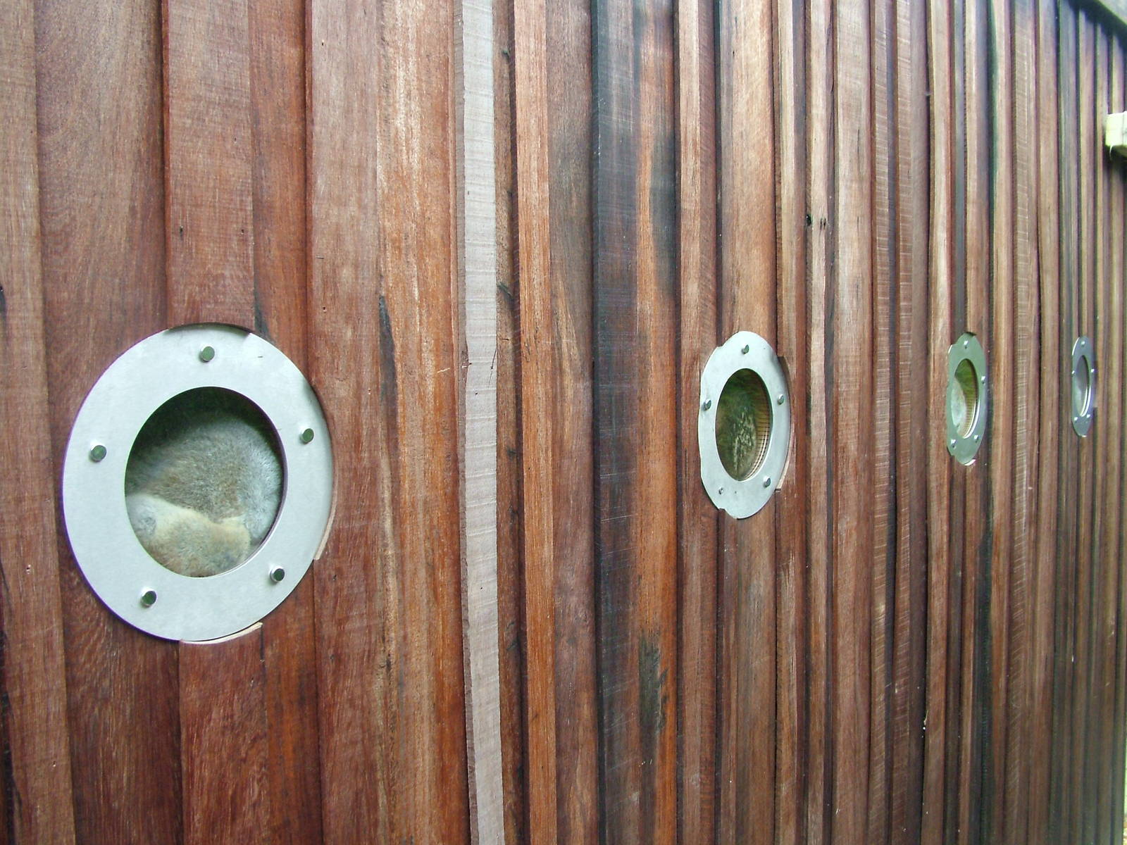 Loris portholes at the RSCC, 31/07/10