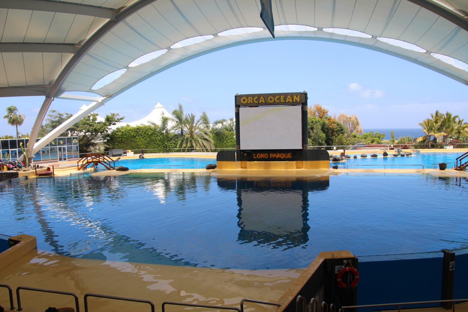 Loro Parque 2018 - Orca Ocean