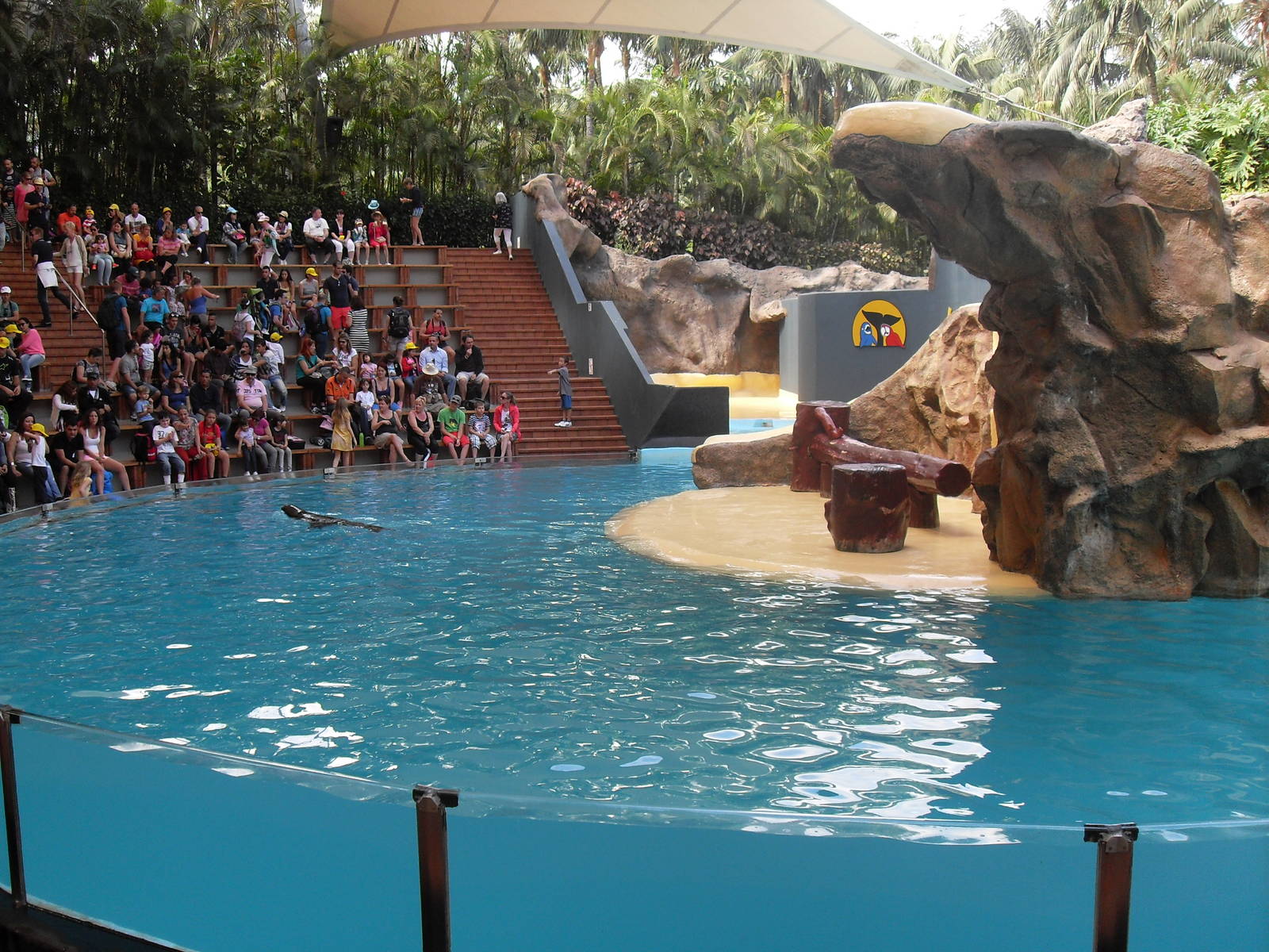 Loro Parque show