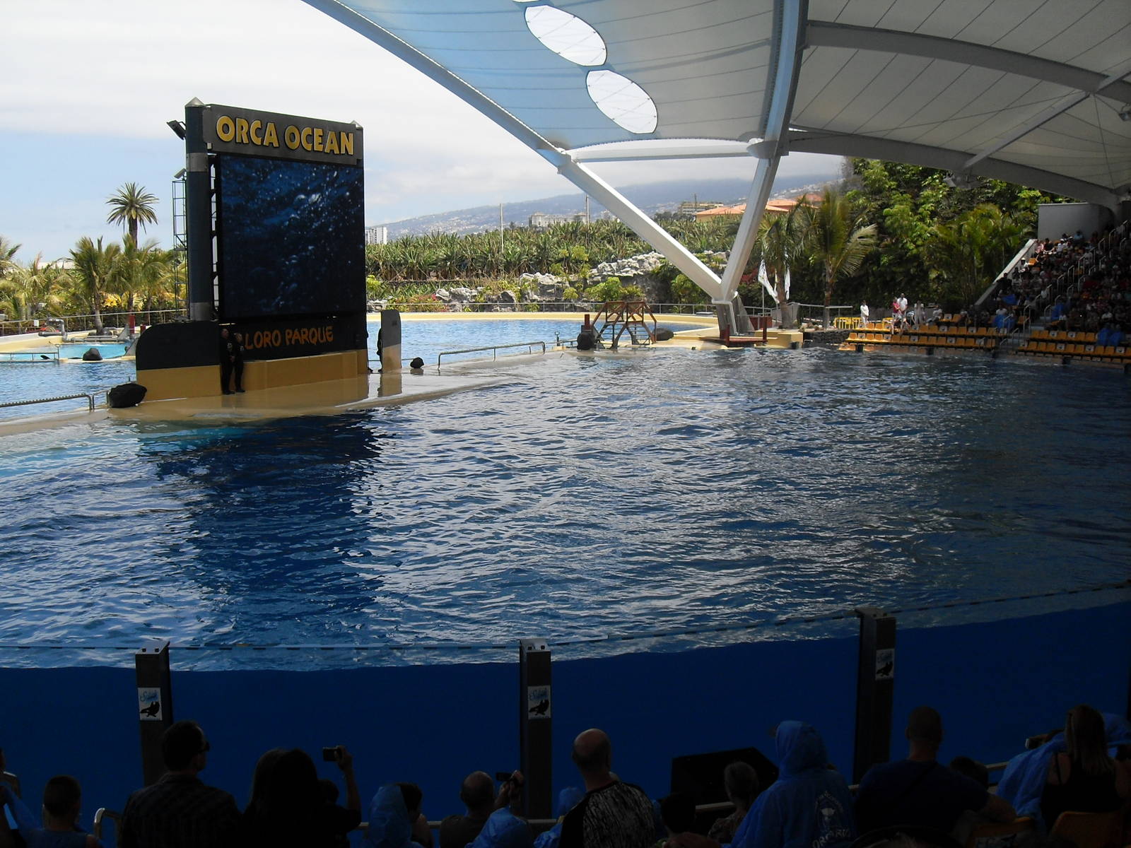 Loro Parque show
