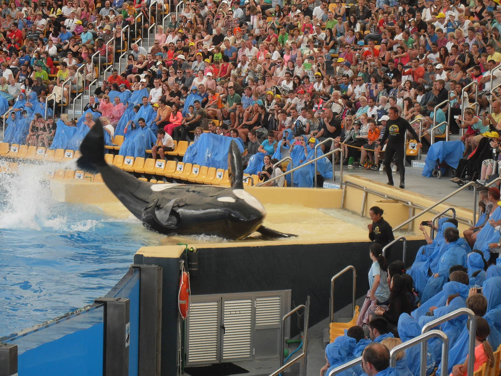 Loro Parque show