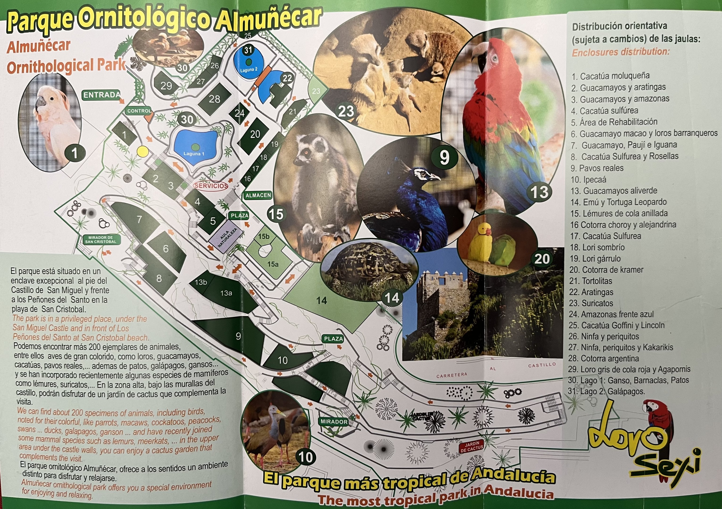 Loro Sexi Zoo Map - undated