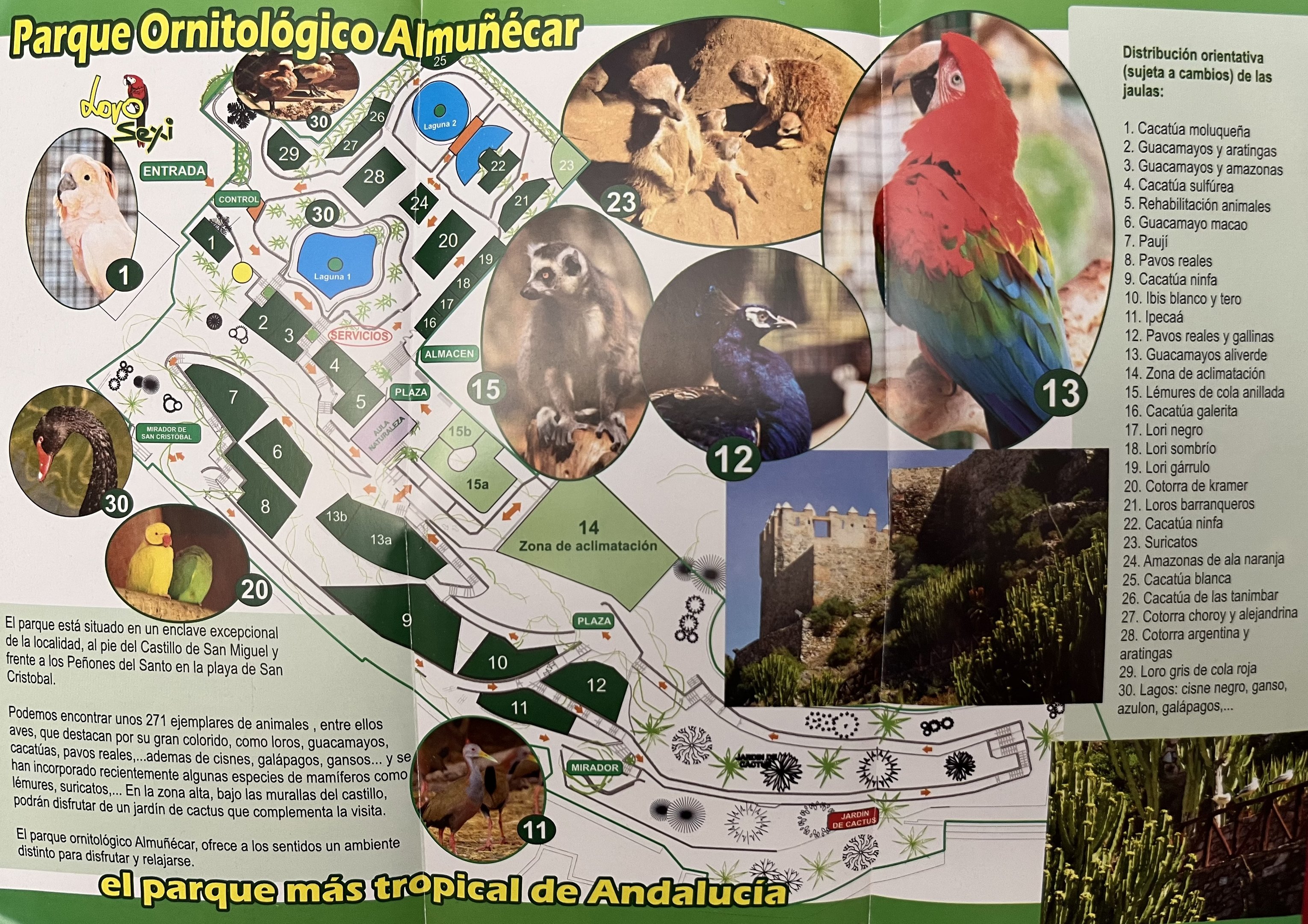 Loro Sexi Zoo Map - undated