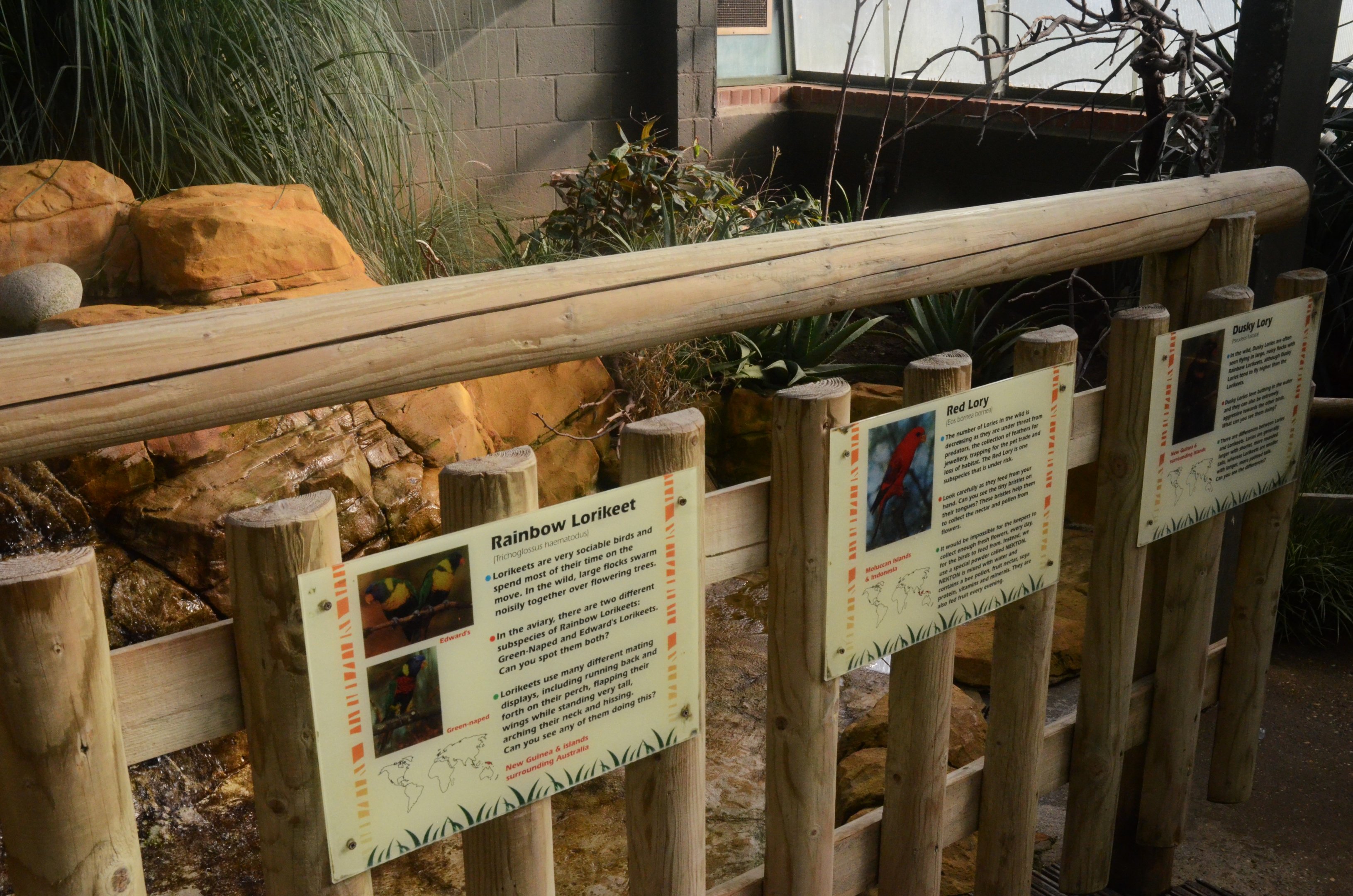 Lory and Lorikeet Signage at Woburn Safari Park, 16/10/16