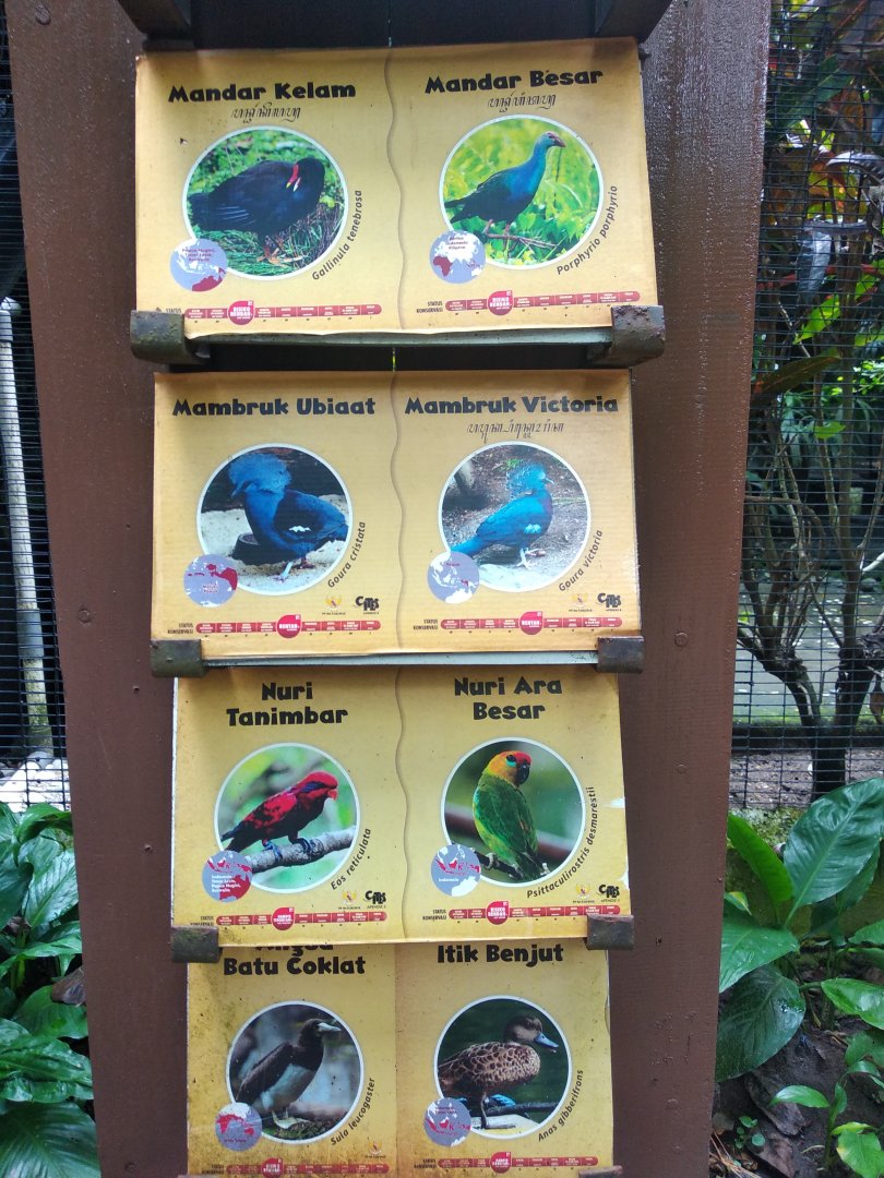 Lory aviary species information panel part 1