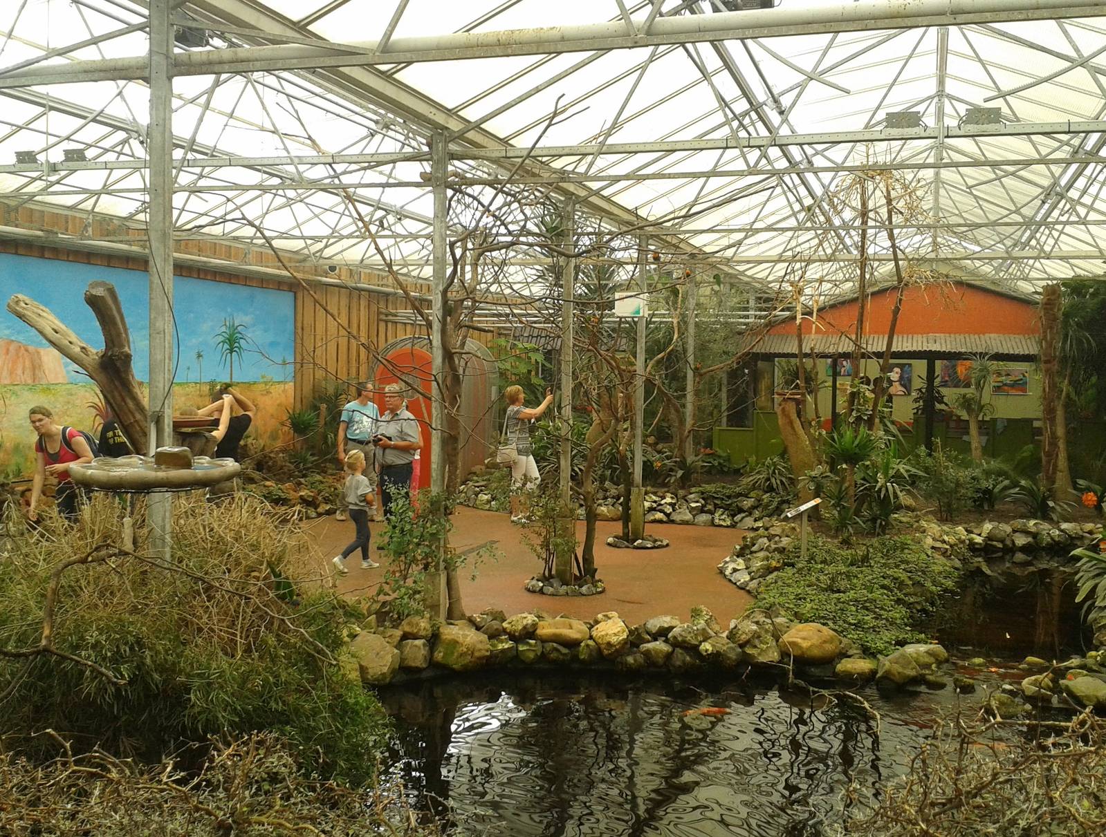 Lory free-flight enclosure