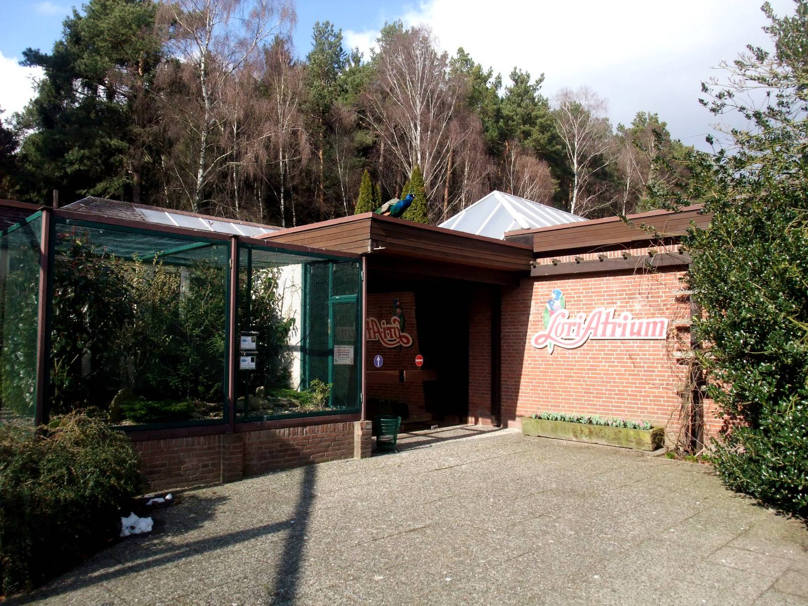 Lory House at Walsrode, 22/03/13