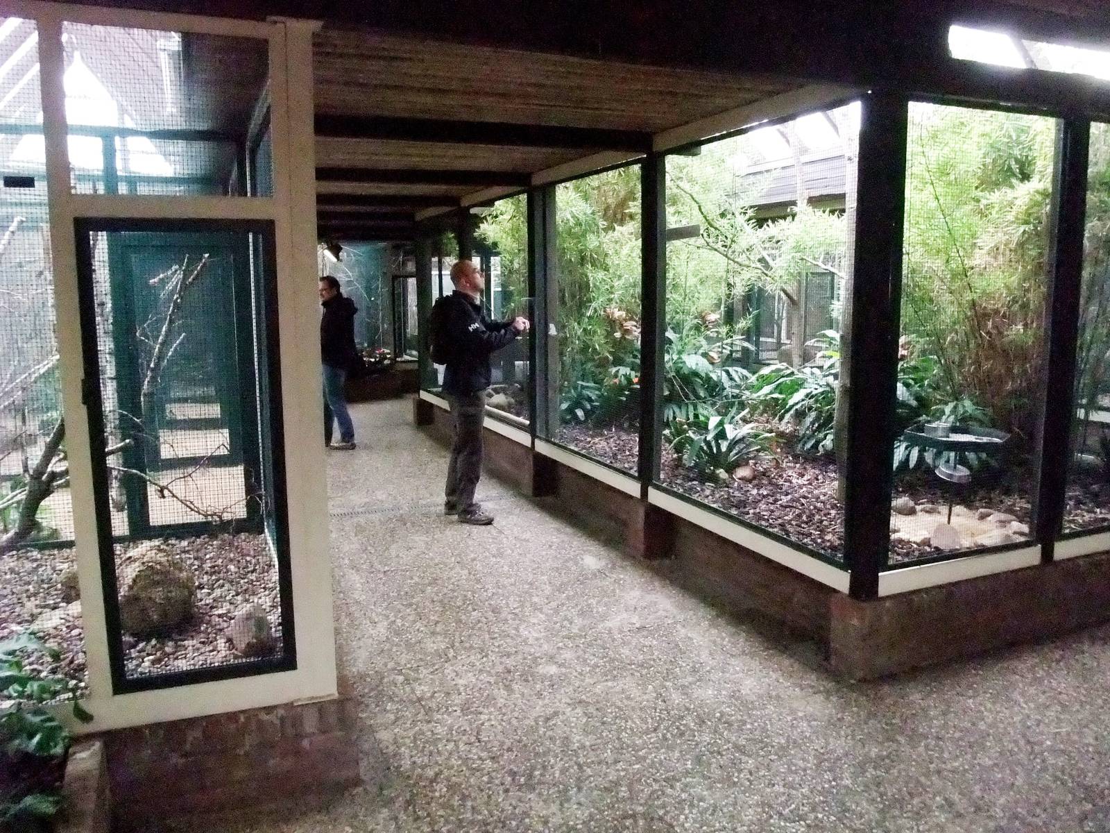 Lory House at Walsrode, 22/03/13