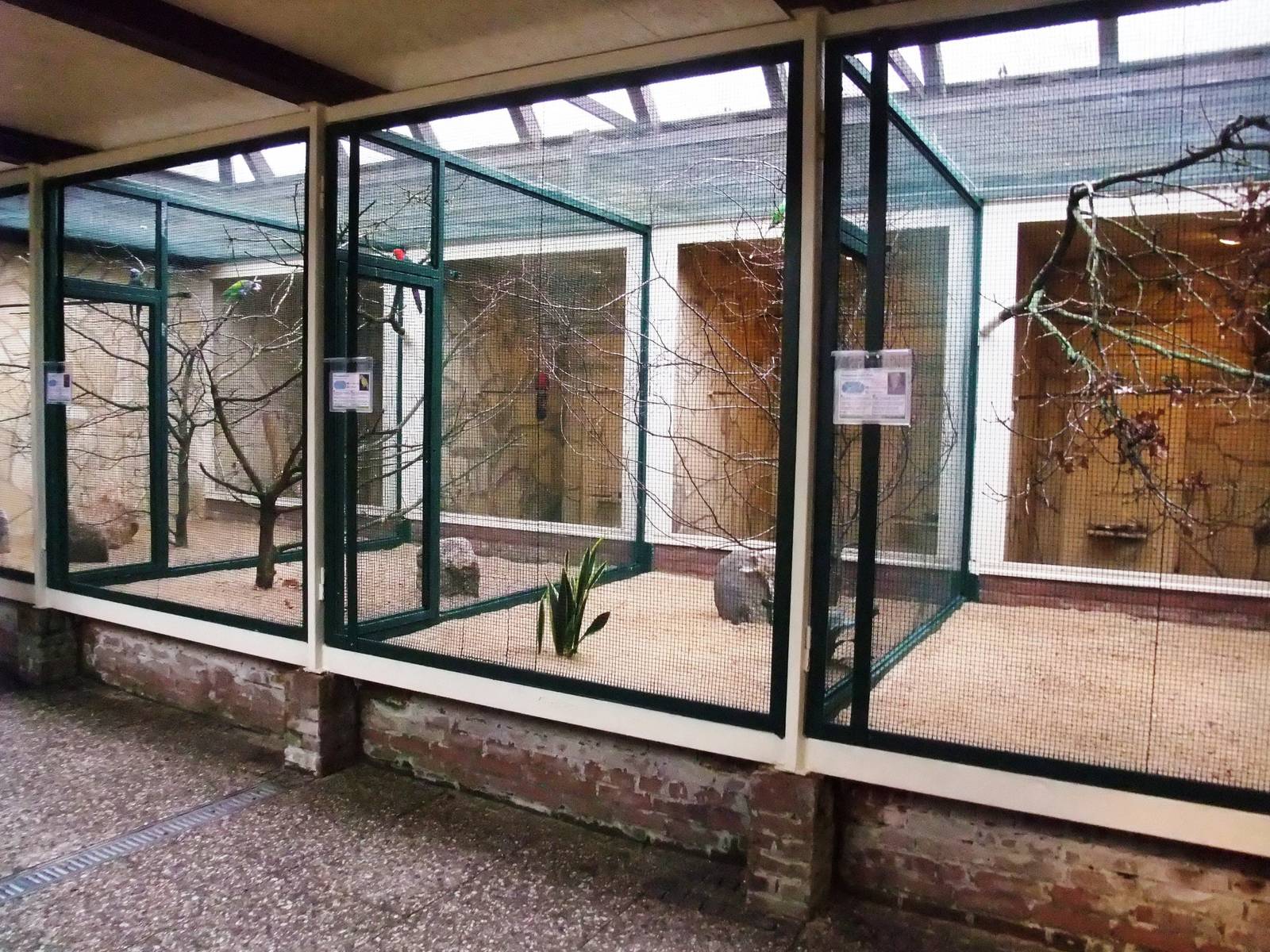 Lory House at Walsrode, 22/03/13