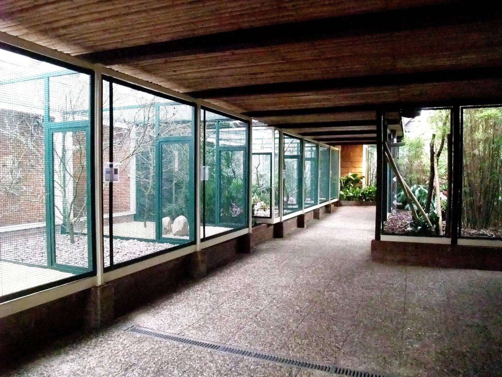 Lory House at Walsrode, 22/03/13