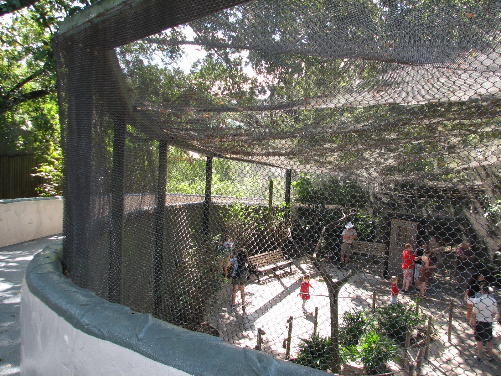 Lory Landing - Back Exterior