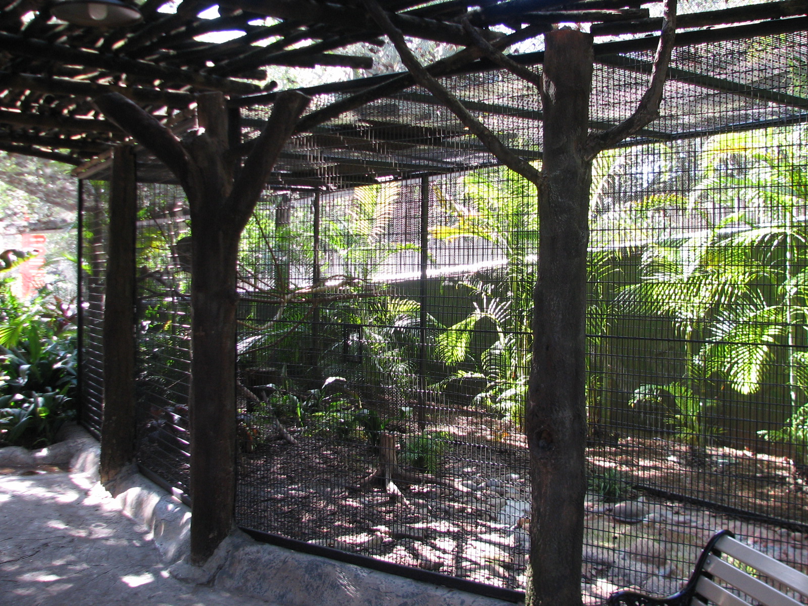 Lory Landing - Hornbill Exhibit