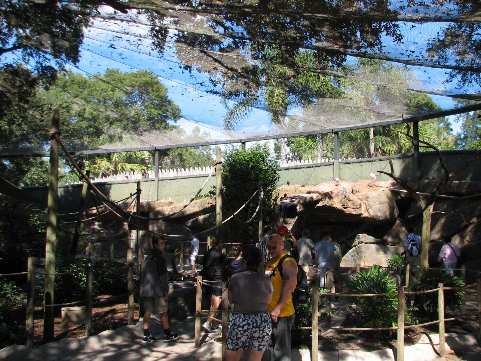 Lory Landing - Interior