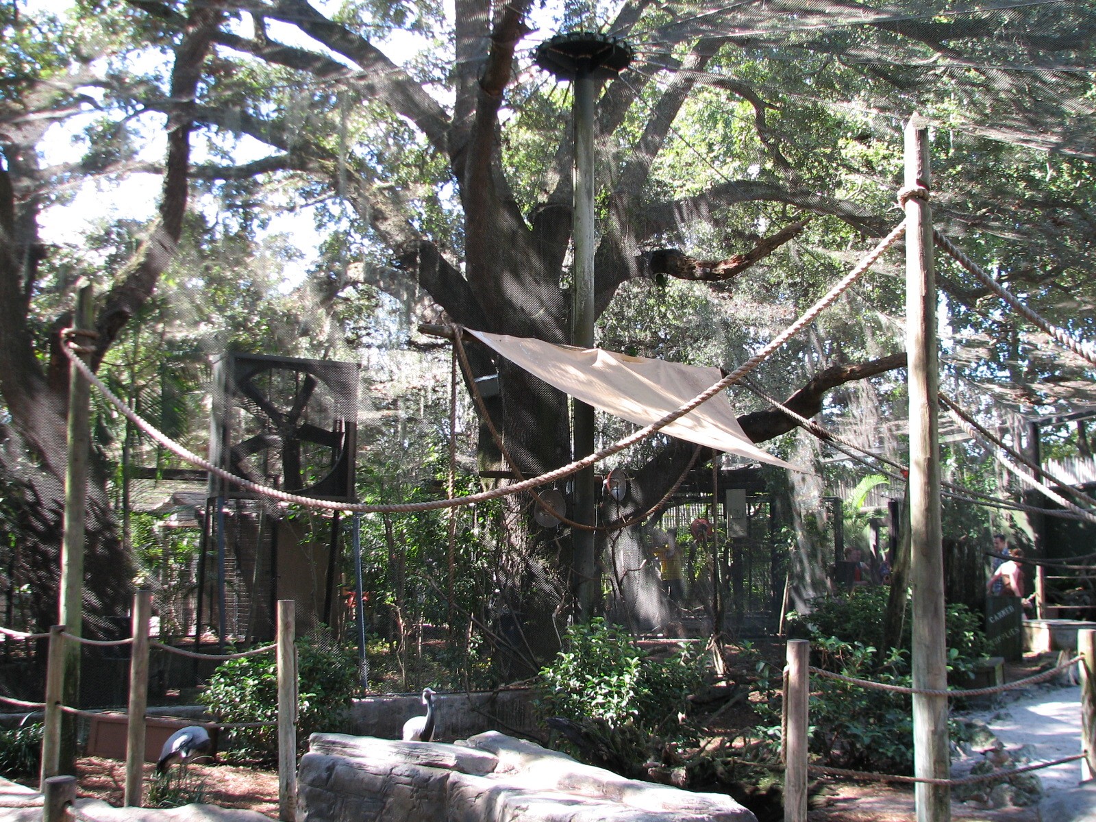 Lory Landing - Interior