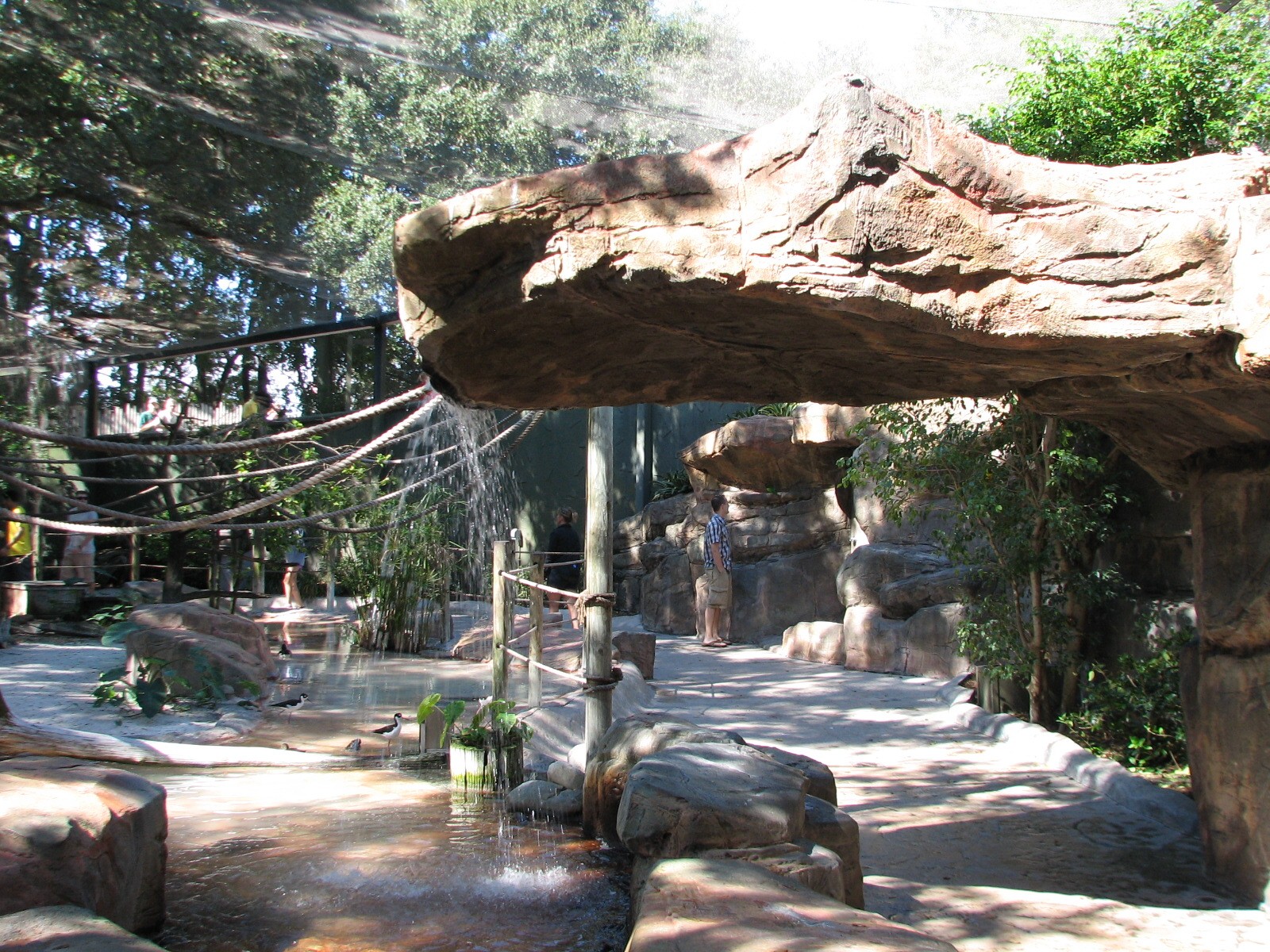 Lory Landing - Interior