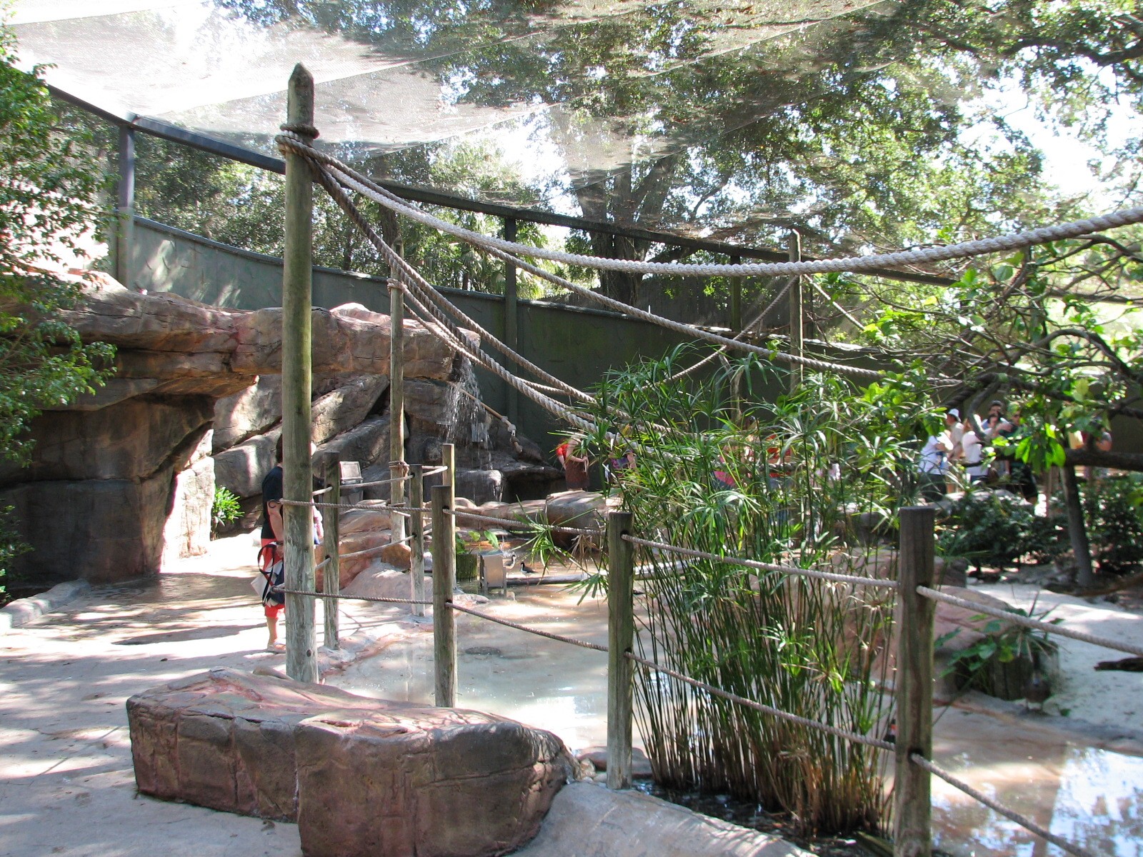 Lory Landing - Interior