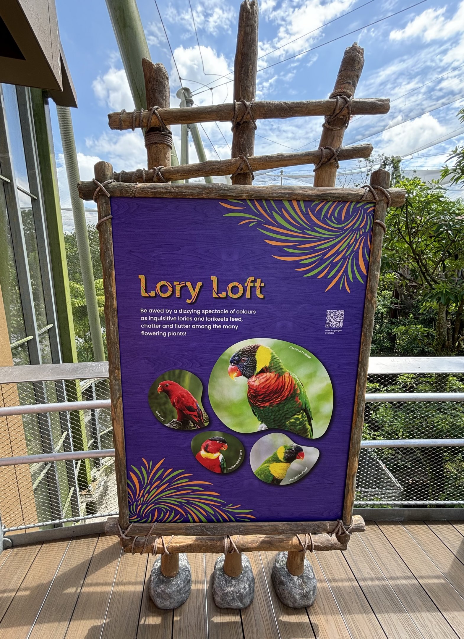 Lory Loft Aviary - 20-25 species