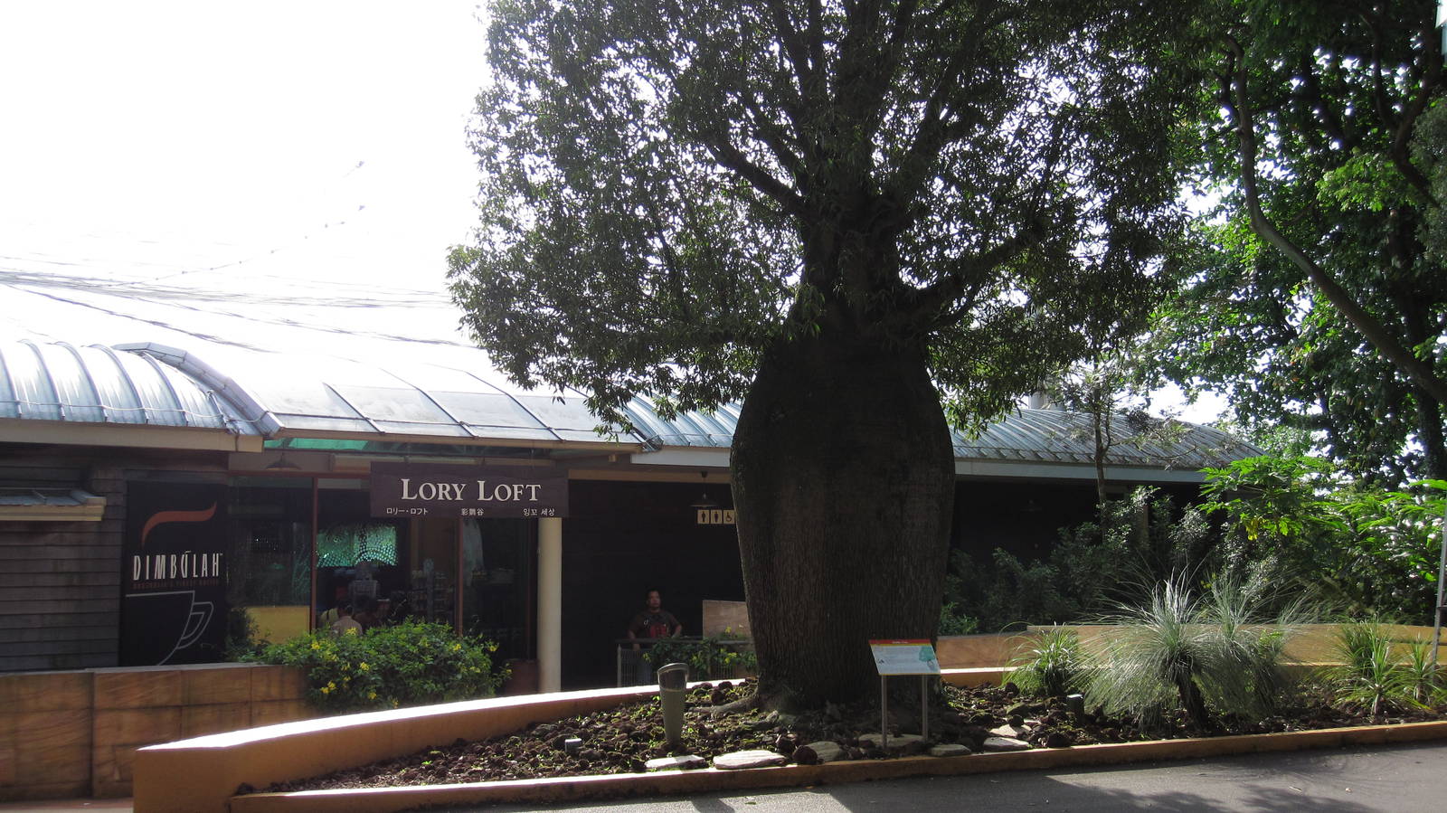 Lory Loft - Bottle Tree