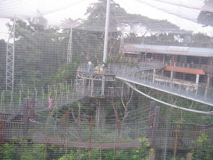 Lory Loft, Jurong BirdPark