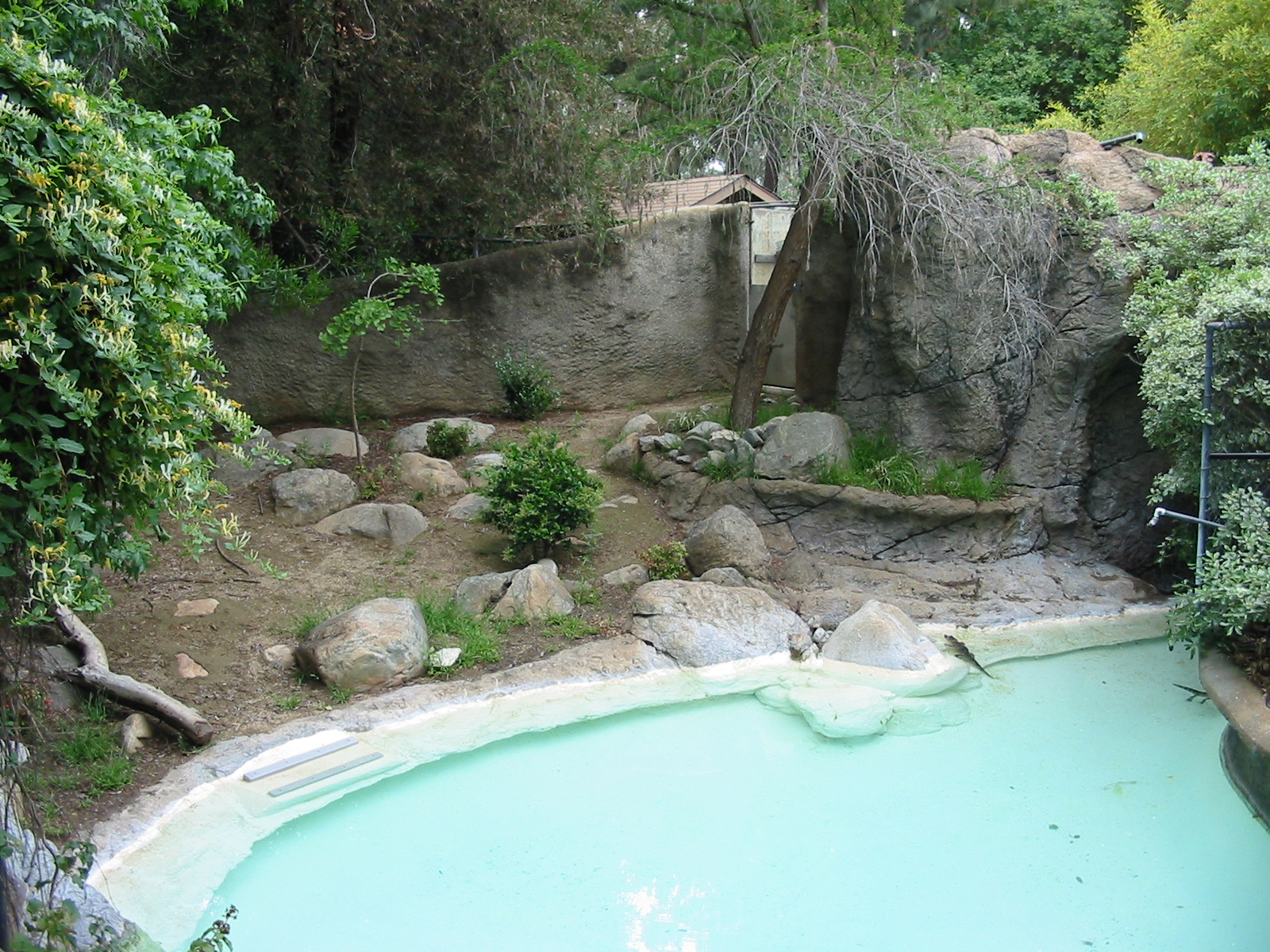 Los Angeles Zoo 2003 - Chinese Alligator exhibit