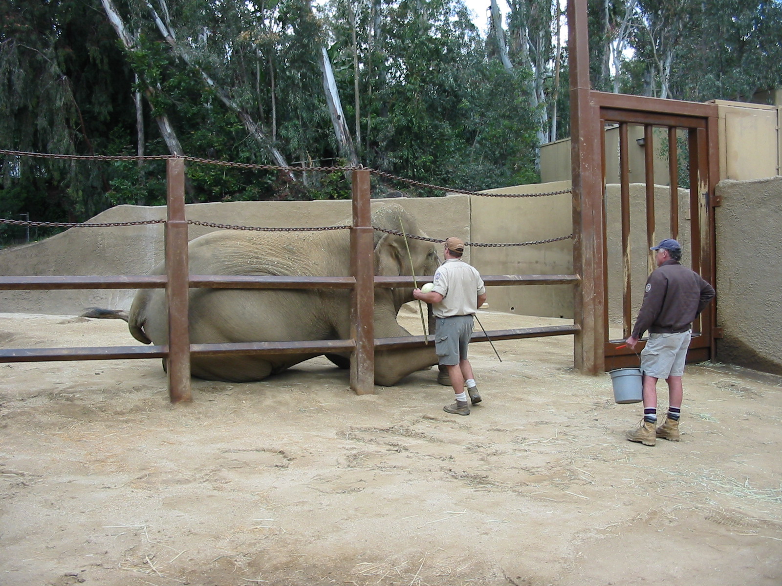 Los Angeles Zoo 2003 - Keepers in the Elephant exhibit
