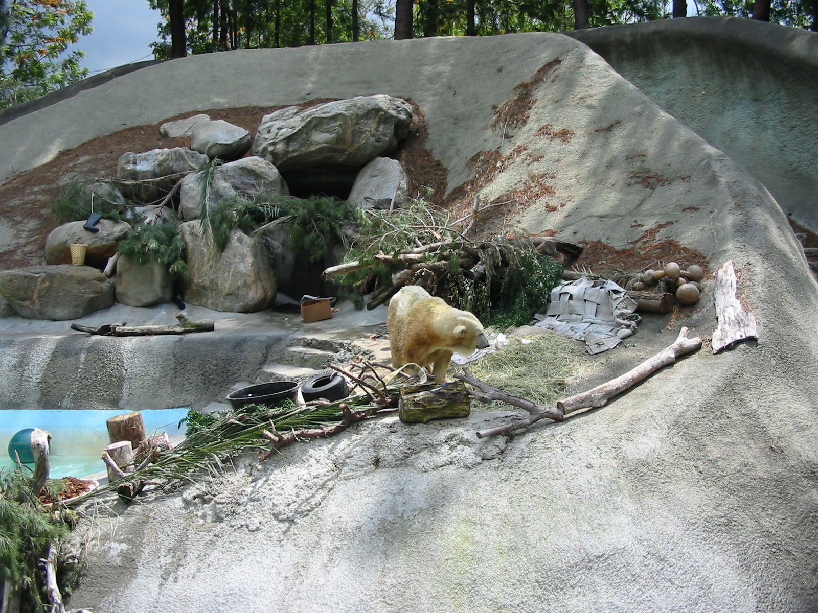 Los Angeles Zoo 2003 - Polar Bear exhibit
