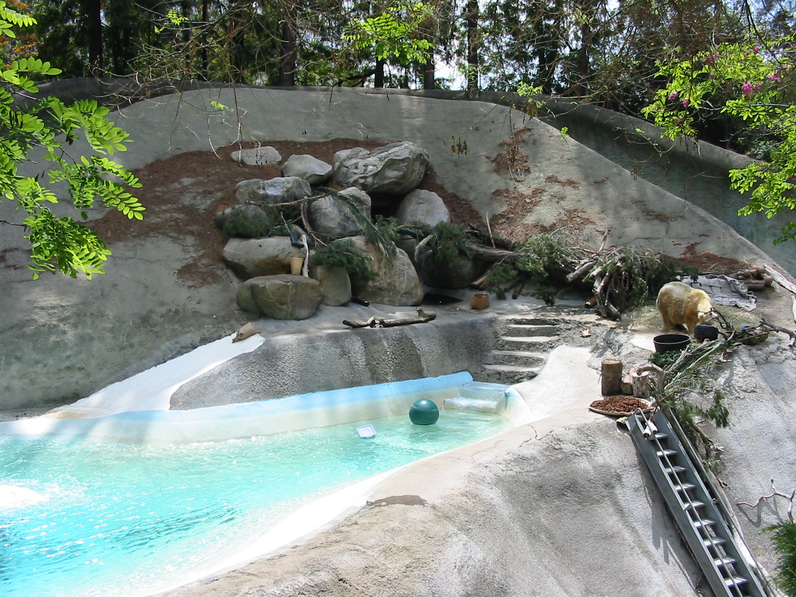 Los Angeles Zoo 2003 - Polar Bear exhibit