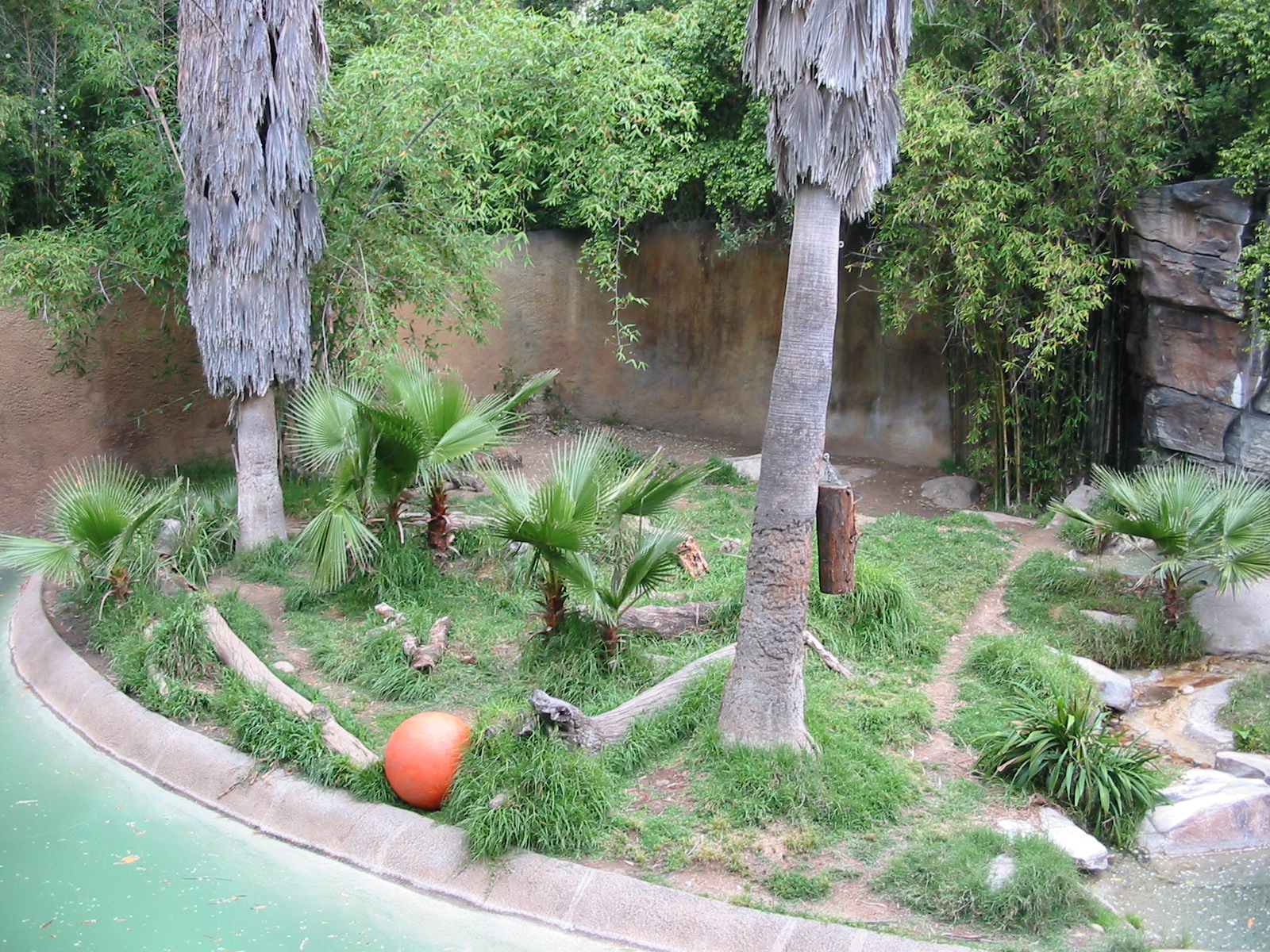 Los Angeles Zoo 2003 - Sumatran Tiger exhibit
