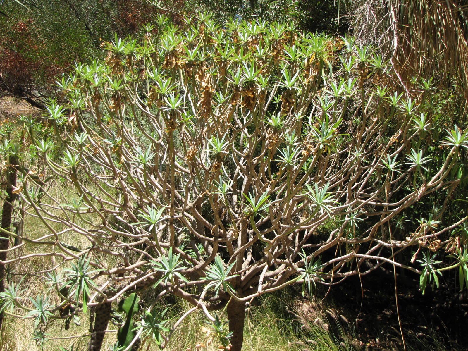 Los Angeles Zoo And Botanical Garden