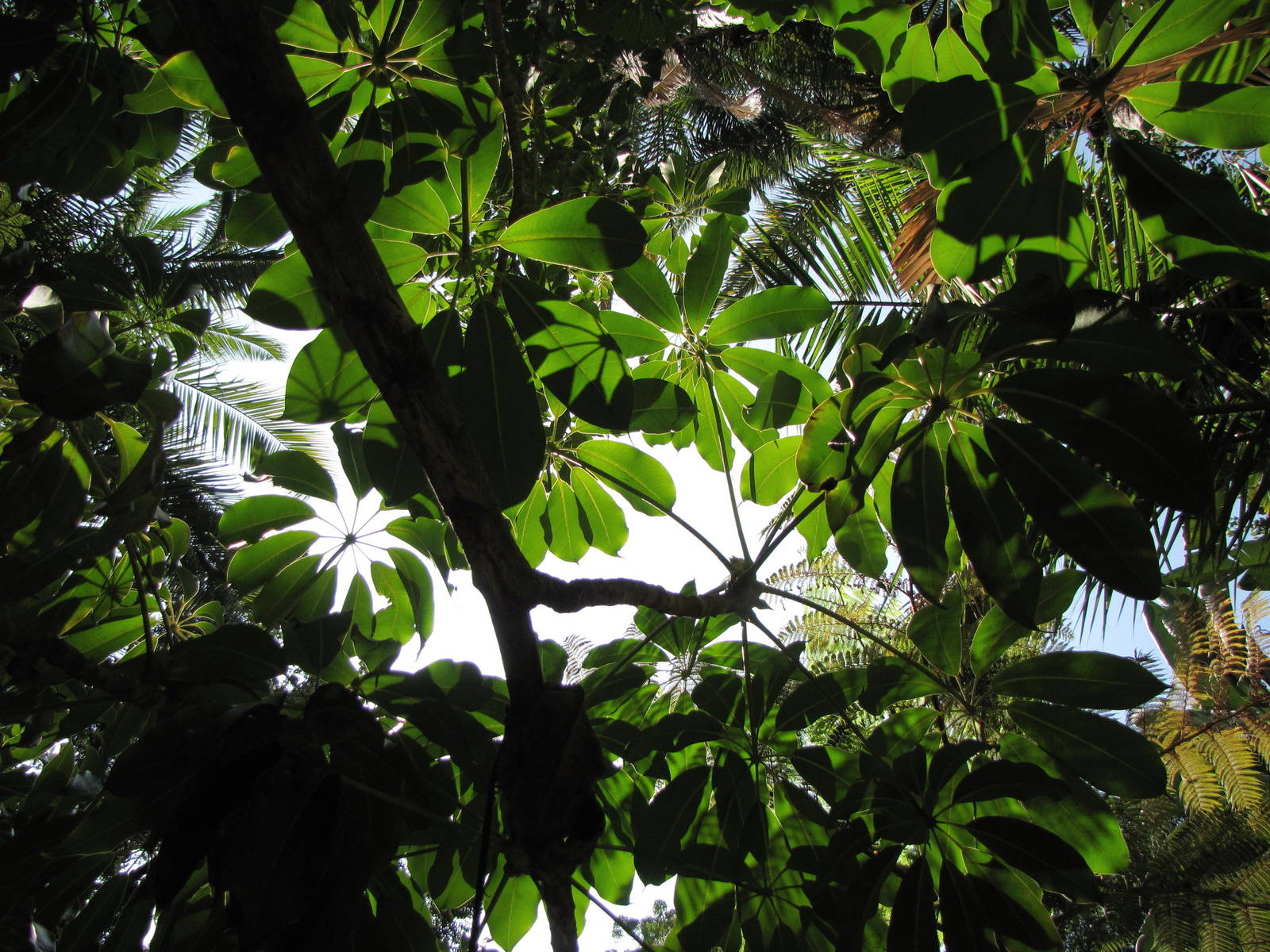 Los Angeles Zoo and Botanical Gardens