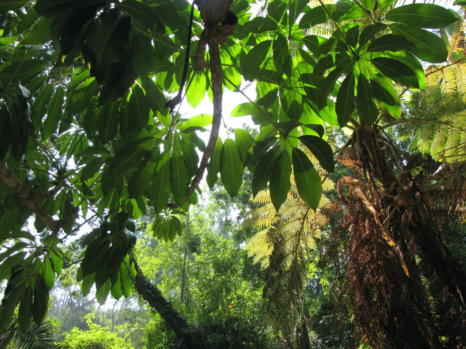 Los Angeles Zoo and Botanical Gardens