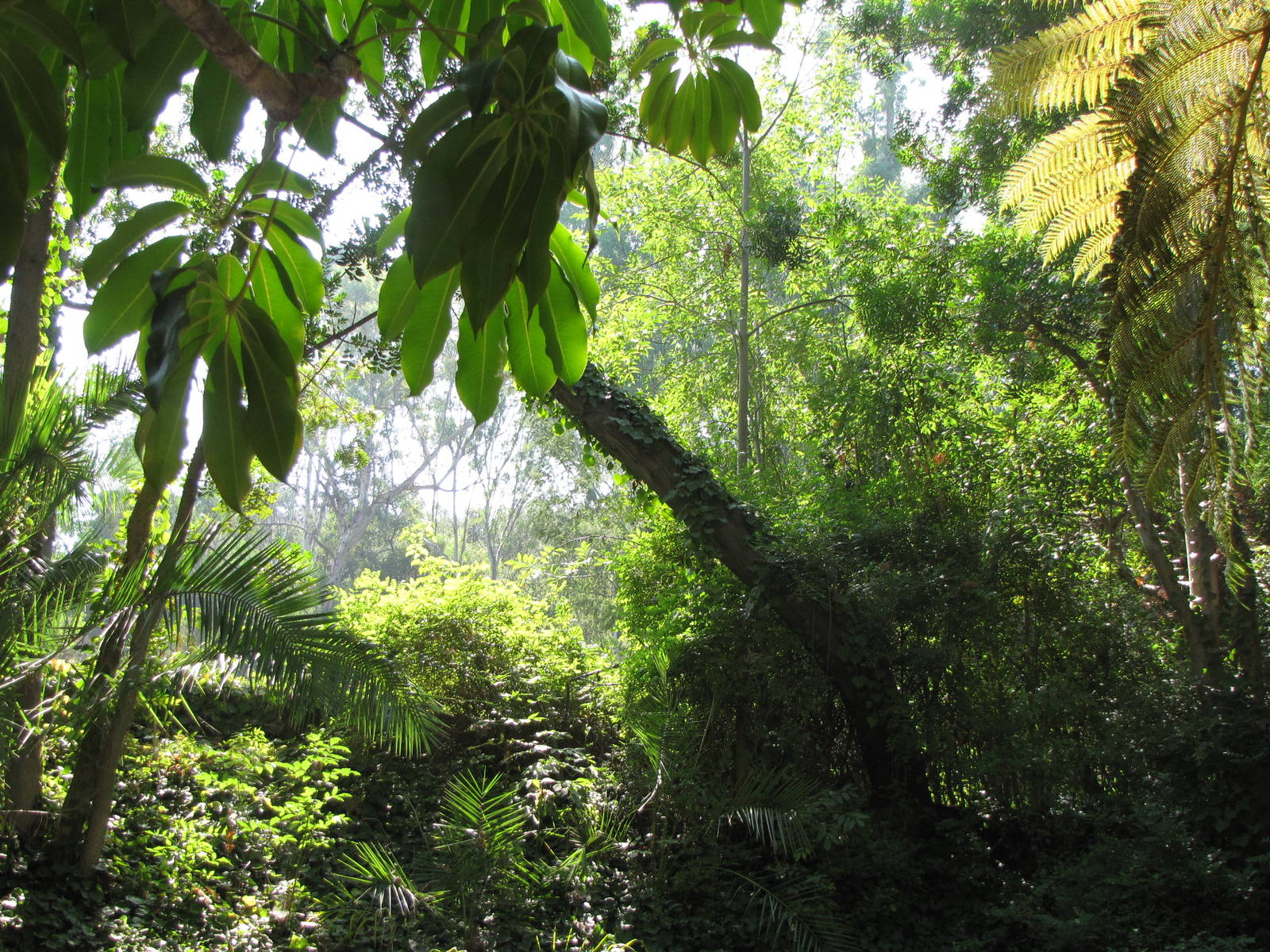 Los Angeles Zoo and Botanical Gardens