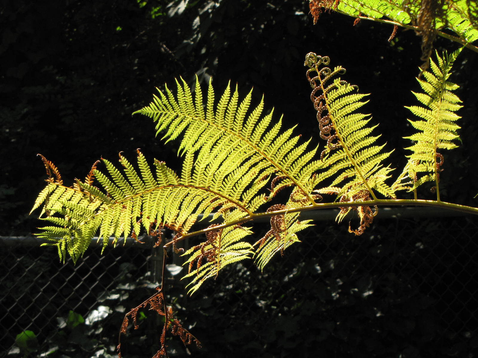 Los Angeles Zoo and Botanical Gardens