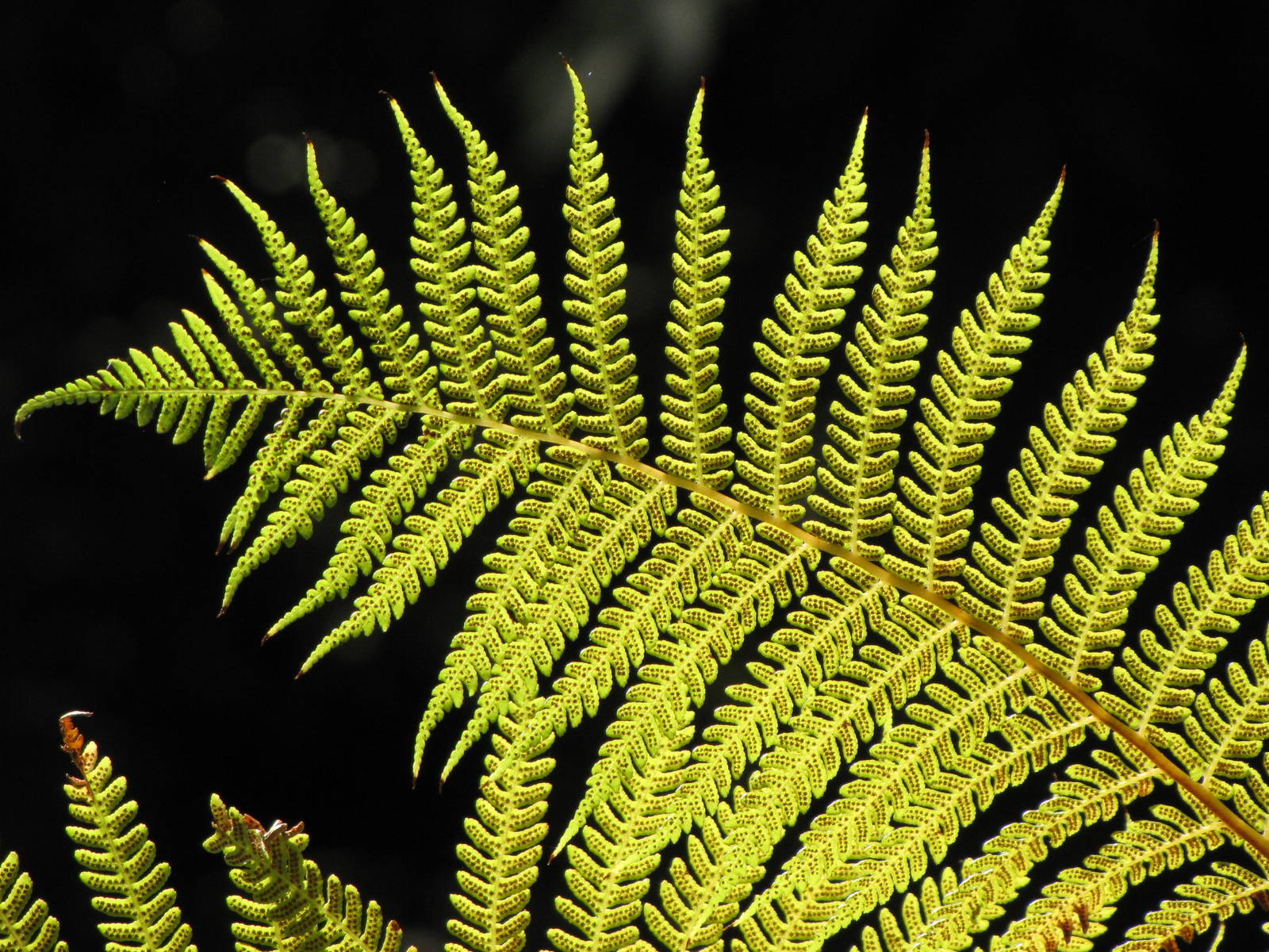 Los Angeles Zoo and Botanical Gardens