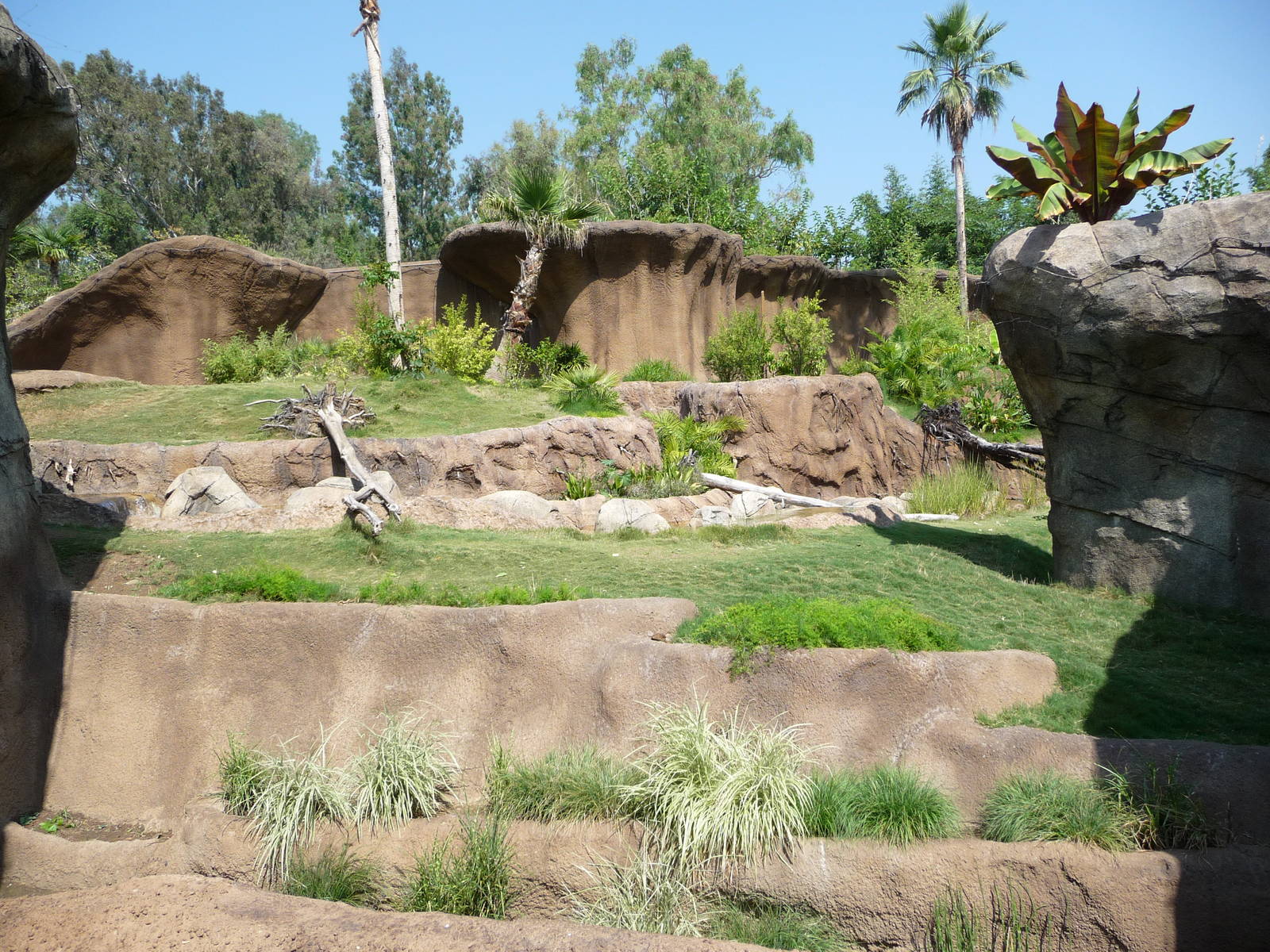 Los Angeles Zoo - Campo Gorilla Reserve