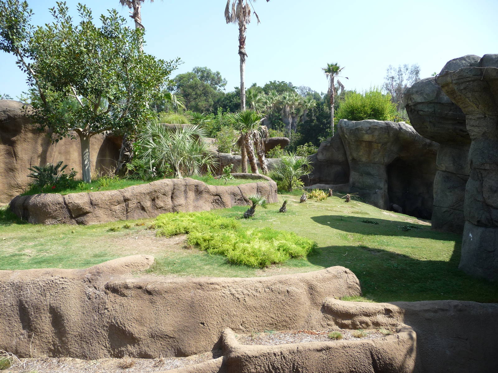 Los Angeles Zoo - Campo Gorilla Reserve