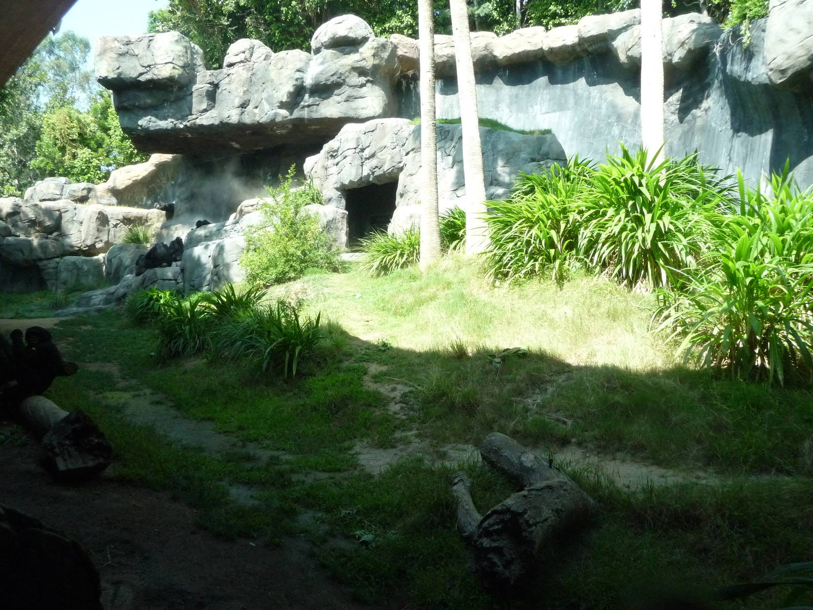 Los Angeles Zoo - Chimpanzee Exhibit