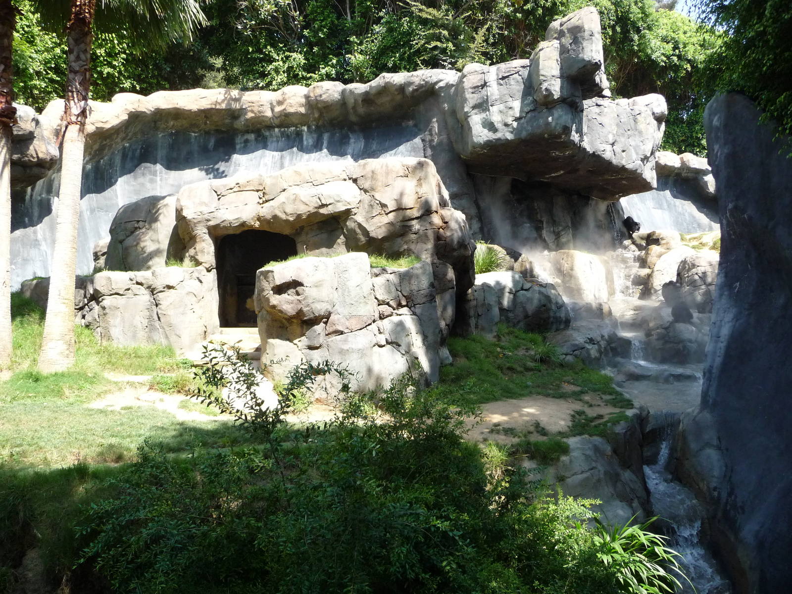 Los Angeles Zoo - Chimpanzee Exhibit