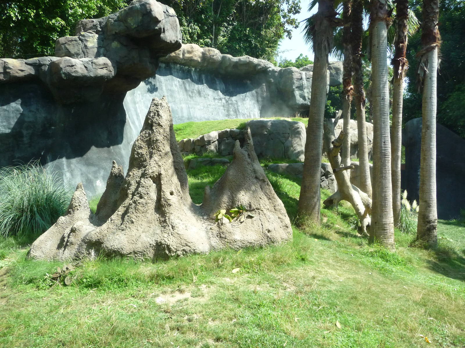 Los Angeles Zoo - Chimpanzee Exhibit